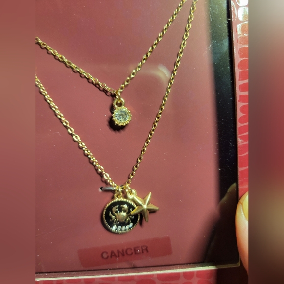 Steve Madden Cancer Gold tone Zodiac Necklace Set - Picture 4 of 7